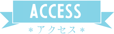 hos-access